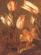 Jacob Gerritsz Cuyp Tulip Field Spain oil painting artist